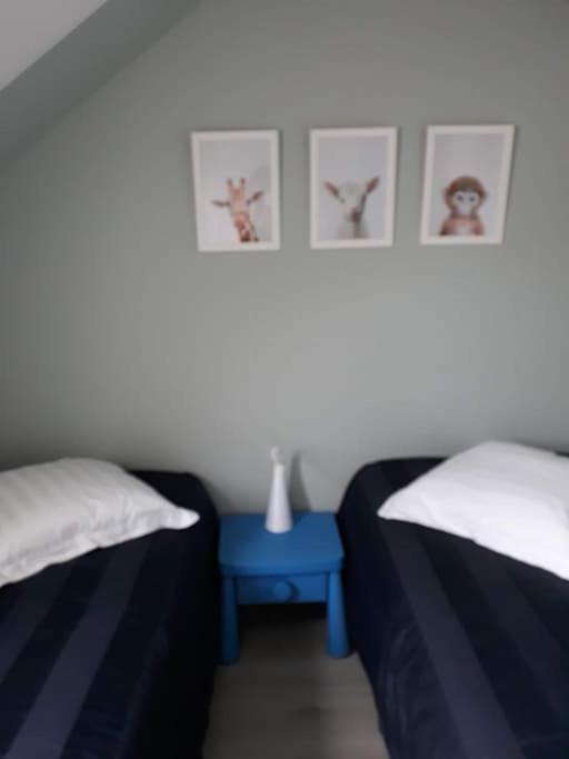 Les Cottages Du Golf A Ploemel Экстерьер фото